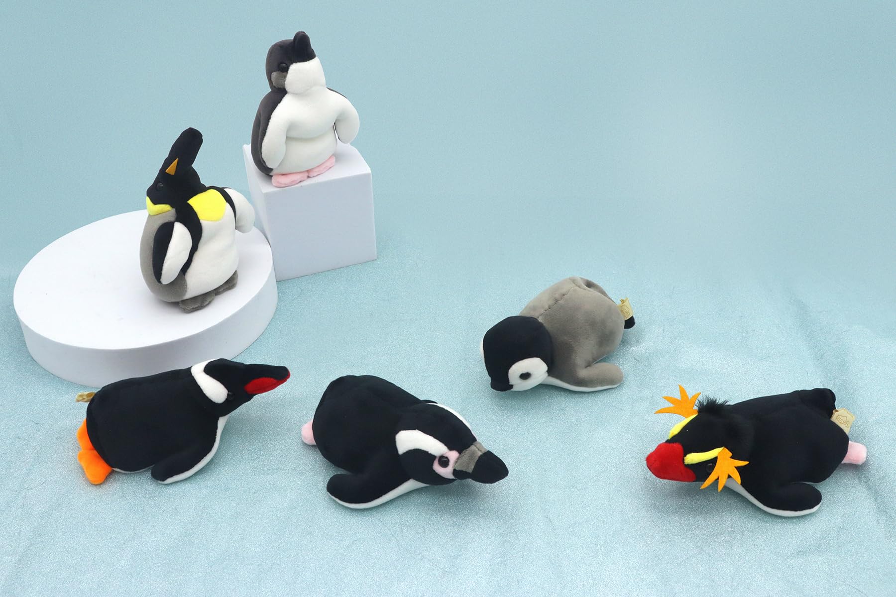 Amazon.co.jp: テイクオフ ぽけぷに フンボルトペンギン ふしぎな